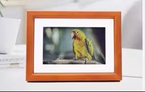 7.3 Inch Smart Digital Photo Frames 800*480 Advertising Digital Frame Low Power